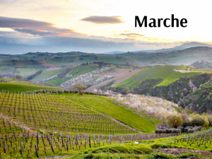 Marche (800 x 600 px)